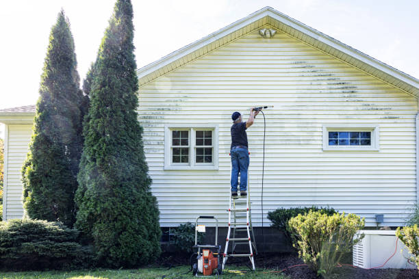 Best Sidewalk and Walkway Cleaning  in Dunellen, NJ
